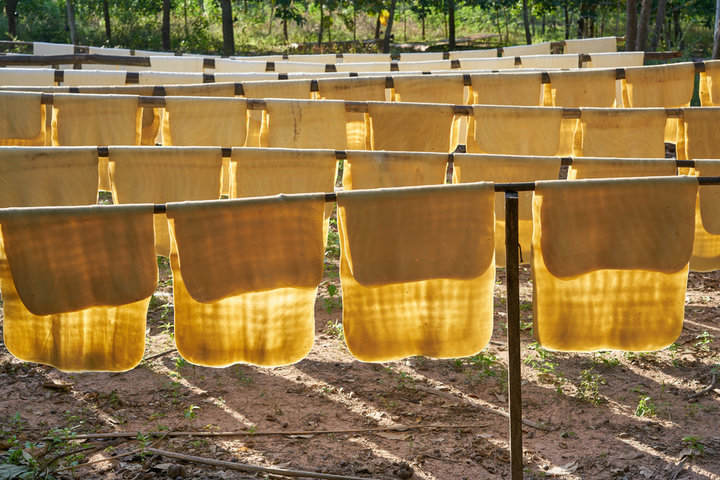Air-dried latex sheets prepared for industrial rubber processing